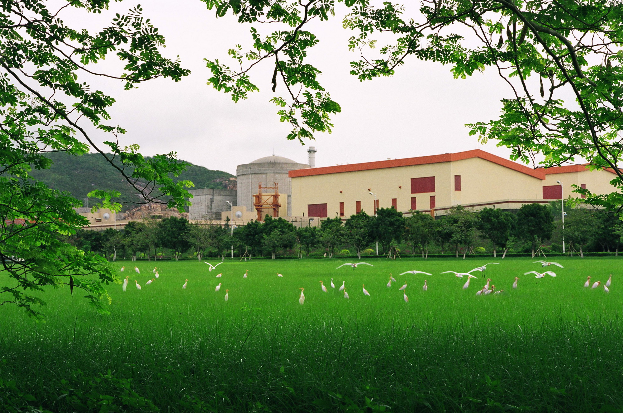 bte·365(中国)体育在线官网